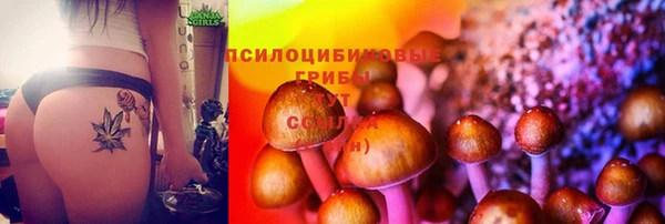 марки lsd Беломорск