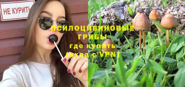 гидра Белоозёрский