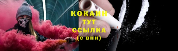 гидра Белоозёрский