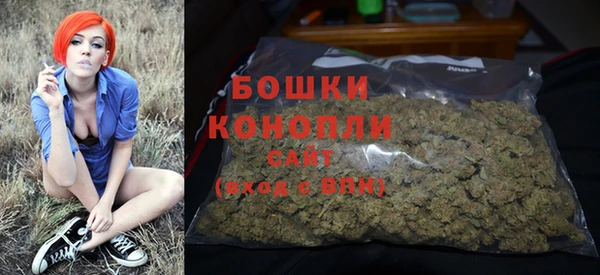 гидра Белоозёрский