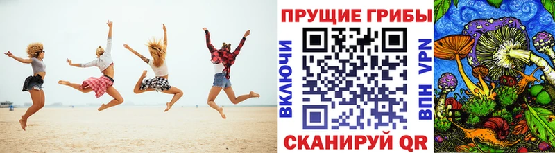 Галлюциногенные грибы GOLDEN TEACHER Высоцк